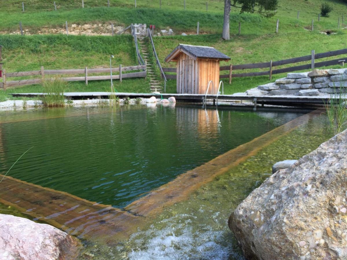 Sonnleit'N Zimmer 7 Abtenau Eksteriør bilde